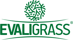Group Logo