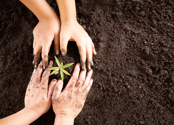 Responsabilité Sociale